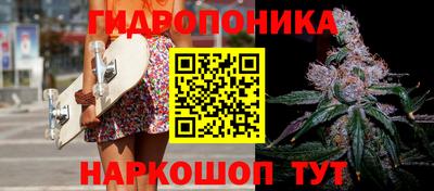 шишки Уссурийск