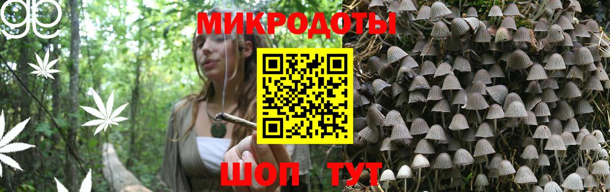 Псилоцибиновые грибы Magic Shrooms  купить   Вход с VPN  Семёнов  Галлюциногенные грибы мухоморы 